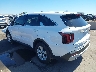 5XYRG4JCXRG****** Salvage and Repairable 2024 Kia Sorento in Phoenix