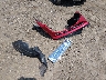 JM1BM1J77G1****** Wrecked 2016 Mazda 3 in New Jersey State