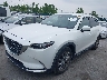 JM3TCBDY9K0****** Usados y Reparables 2019 Mazda CX-9 en Cleveland