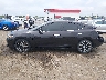 1N4AA6AP0GC****** Repairable 2016 Nissan Maxima in Arkansas State