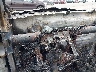 3GCNAAEK1PG****** Salvage 2023 Chevrolet Silverado 1500 in Fort Wayne