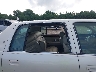 1G6KD52B6SU****** Repairable 1995 Cadillac Deville
