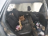 SHSRD789X5U****** Wrecked 2005 Honda CR-V in Savannah