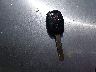 2HGFA1F5XAH****** Salvage 2010 Honda Civic in Missouri State