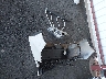 JF2SJGUC5FH****** Salvamento 2015 Subaru Forester en Estado de California