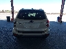 JF2SJGUC5FH****** Destrozados 2015 Subaru Forester