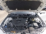 JM1BPAMMXS1****** Reparables 2025 Mazda 3 en Saint Louis
