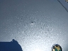 WBADT63442C****** Salvage and Repairable 2002 BMW 5 Series in California State