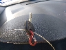 3KPA24AB0KE****** Salvage 2019 Kia Rio in Texas State