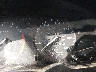 1HGCD5538TA****** Salvamento 1996 Honda Accord en Denver East