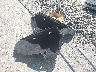 JH4KC1F50JC****** Wrecked 2018 Acura RLX in Rhode Island State