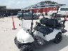 5524*** Salvamento y Destrozados 2019 EZGO Golf Cart en Rec Rides Online Exclusive