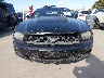 1ZVBP8AM2C5****** Salvamento y Destrozados 2012 Ford Mustang en Austin