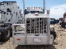 1XPXD49X19D****** Destrozados 2009 Peterbilt 389 en Estado de Colorado
