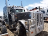1XPXD49X19D****** Usados 2009 Peterbilt 389 en Estado de Colorado