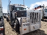 1XPXD49X19D****** Salvamento y Destrozados 2009 Peterbilt 389 en Specialty Division