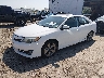 4T1BK1FKXDU****** Used and Repairable 2013 Toyota Camry in Billings