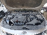 5XXGT4033JG****** Repairable 2018 Kia Optima in Phoenix
