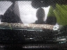 1HGCM66897A****** Usados 2007 Honda Accord en Shreveport
