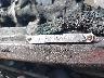 5TFGY5F18LX****** Repairable 2020 Toyota Tundra in Florida State