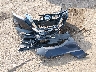 1N4BL4DW7KN****** Destrozados 2019 Nissan Altima en Estado de Illinois
