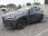 JTJHKCFZ4R2****** Used and Repairable 2024 Lexus NX in Los Angeles