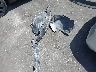 4T1BF1FK0EU****** Destrozados 2014 Toyota Camry en Estado de California