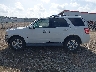1FMCU0EG1BK****** Salvamento 2011 Ford Escape