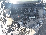 19XFL2H84PE****** Repairable 2023 Honda Civic in Clearwater