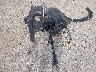 KL79MRSL8NB****** Wrecked 2022 Chevrolet Trailblazer in Wisconsin State