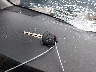 5TDKK3DCXCS****** Salvamento 2012 Toyota Sienna en Estado de Iowa