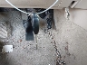 4T1BK36B38U****** Salvamento 2008 Toyota Avalon en Estado de Virginia