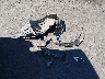 JF2GTAAC2M9****** Wrecked 2021 Subaru Crosstrek in California State