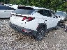 KM8JBCD16RU****** Salvamento y Destrozados 2024 Hyundai Tucson Hybrid en Estado de Ohio