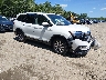 5FNYF6H59NB****** Salvamento y Destrozados 2022 Honda Pilot en Manchester
