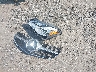 WDDKJ8JB8EF****** Destrozados 2014 Mercedes-Benz E 350 en Estado de Maryland