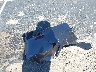 4T1G11AK1MU****** Destrozados 2021 Toyota Camry en Estado de California