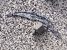 4T1BF1FK8GU****** Wrecked 2016 Toyota Camry in Oregon State