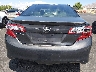 4T1BF1FKXDU****** Wrecked 2013 Toyota Camry