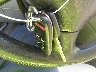 5FNRL38745B****** Salvage 2005 Honda Odyssey in Texas State