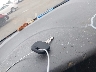 5TDZK22C59S****** Salvage 2009 Toyota Sienna in Ohio State