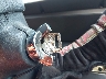 1FABP4635FH****** Salvage 1985 Ford Thunderbird in Washington State