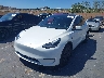 7SAYGDED5RF****** Usados y Reparables 2024 Tesla Model Y en Santa Clarita