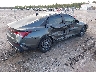 KMHLM4DG1RU****** Salvage and Wrecked 2024 Hyundai Elantra in Florida State