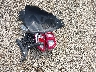 3FMCR9C60NR****** Wrecked 2022 Ford Bronco Sport in Ohio State