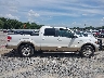 1FTFW1CTXDF****** Reparables 2013 Ford F-150 en Estado de Georgia