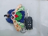 2GNALBEK2E1****** Salvage 2014 Chevrolet Equinox in South Carolina State