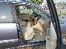 JTEDP21A070****** Usados y Reparables 2007 Toyota Highlander en Estado de Virginia