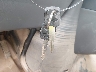 1FDSE35L36D****** Salvage 2006 Ford E-350 Cutaway in West Virginia State