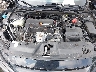 2HGFC2F81KH****** Reparables 2019 Honda Civic en Long Island